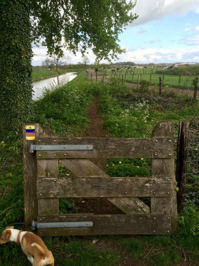 Boerengastenverblijf De Kromme Rijn Cothen Extérieur photo